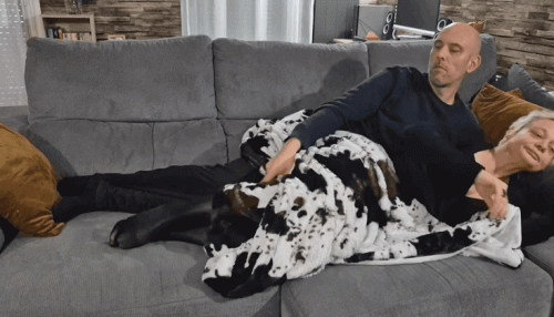 gif 20251208 162324 852