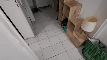 Vidéos anal gif 20260109 121356 790