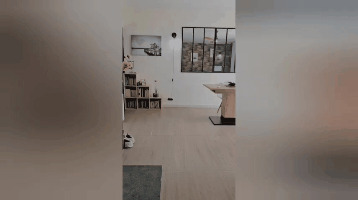 gif 20260111 083952 699